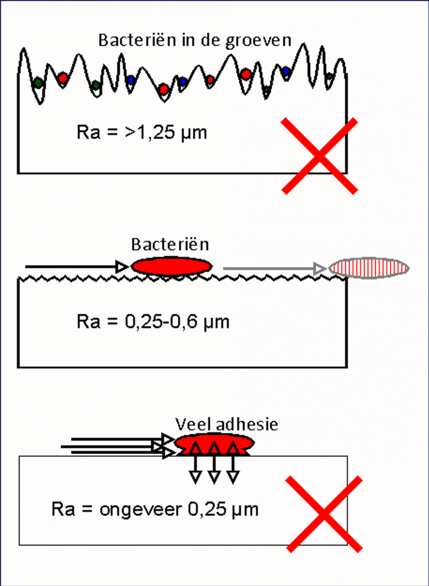 Adhesie van bacteriën op RVS